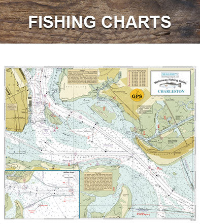 Fishing Charts  Sharks in the Gulf of Mexico – Sealake Products LLC