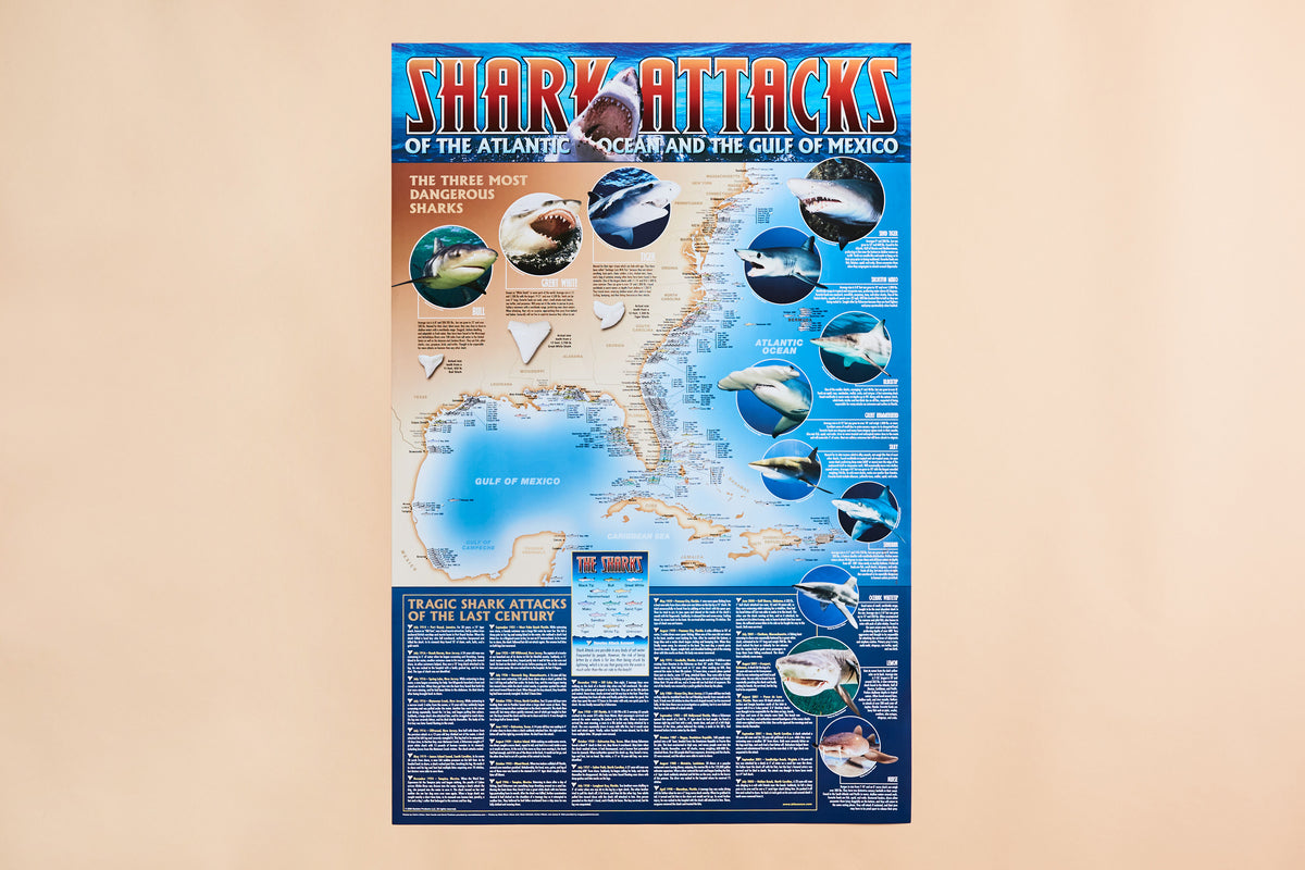☆レア☆THE WORLD MOST DANGEROUS SHARKS ポスター ☆レア☆THE WORLD